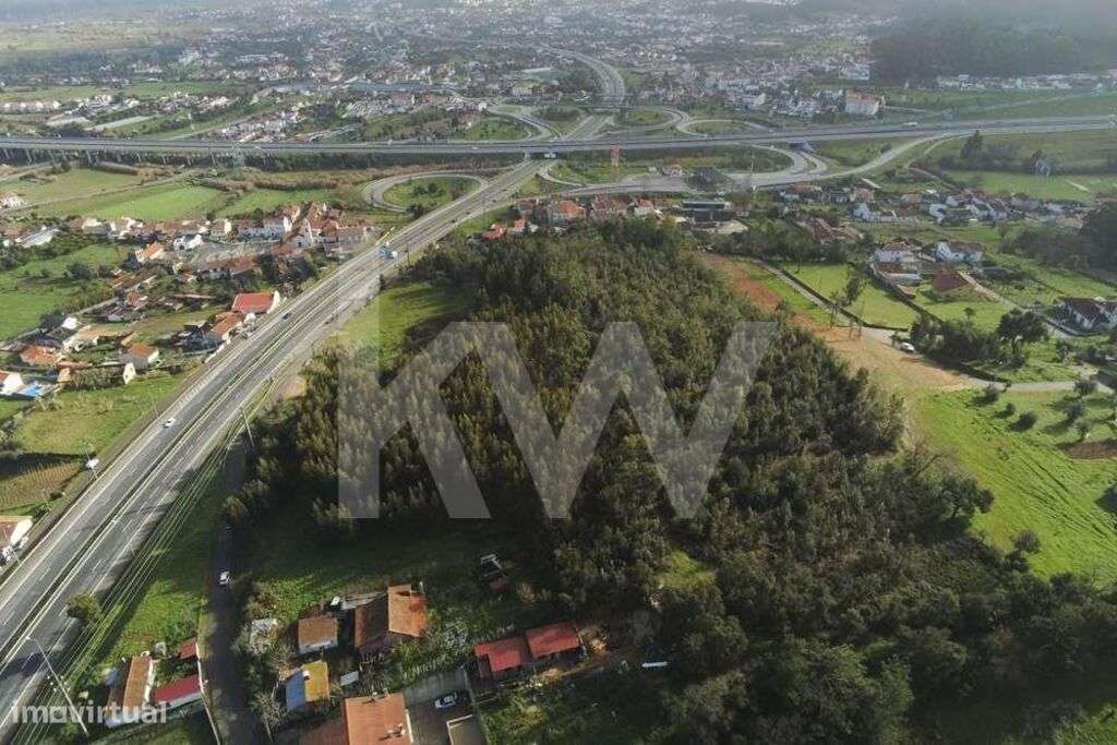 Grande terreno para construção com mais de 18000m2  | Ribeira de Frade - Grande imagem: 2/21