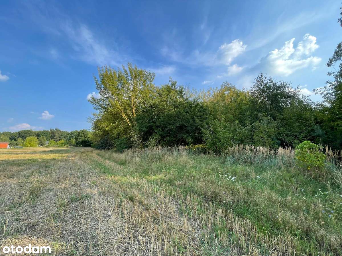 Podbyłkowo Małe 3311m2 budowlana na skraju lasu - Pełny obrazek: 5/9