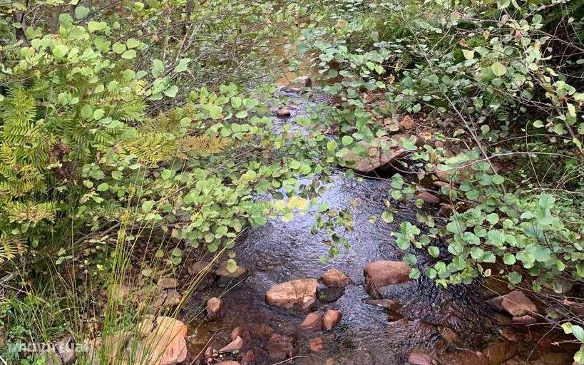 Terreno Rústico - Grande imagem: 4/6