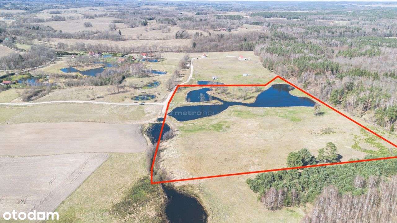 Wyjątkowo malownicze działki w otulinie lasu ! - Pełny obrazek: 5/8