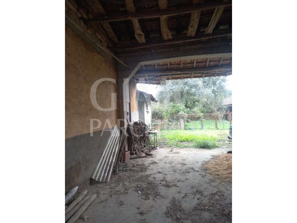 Moradia para recuperar - Grande imagem: 3/30