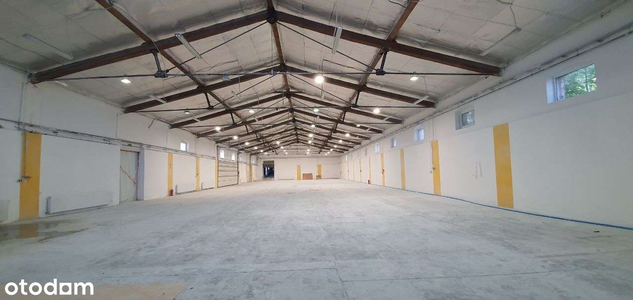Hala magazynowa produkcyjna 3 identyczne hale 800m - Pełny obrazek: 3/20