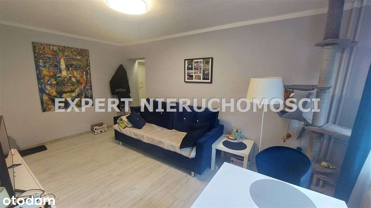 3 Pokoje Z Balkonem W Świetnej Lokalizacji - Pełny obrazek: 4/15