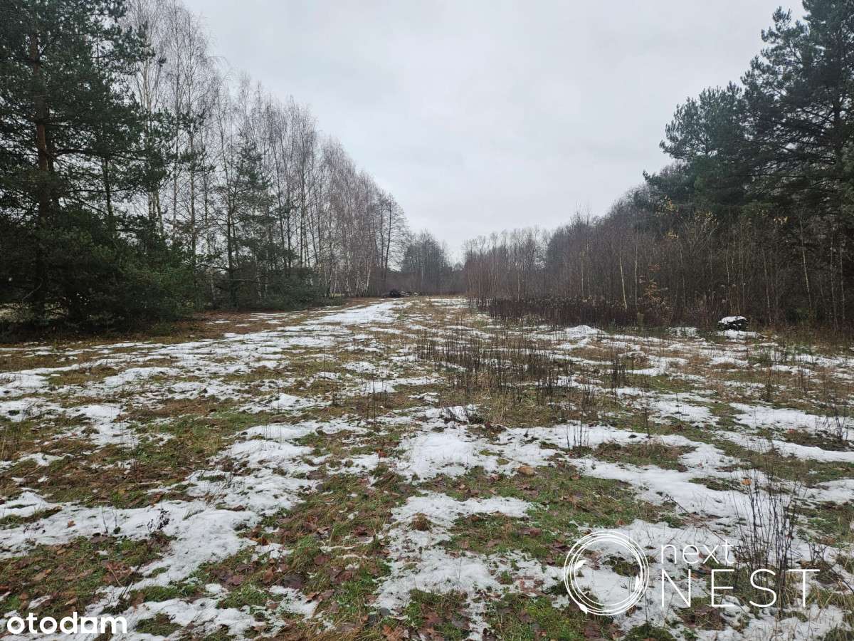 Teren mieszkaniowy do podziału - Pełny obrazek: 4/10