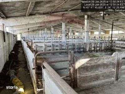 fermă zootehnică funcțională, cu teren generos și acces auto direct - Imagine principală: 4/4