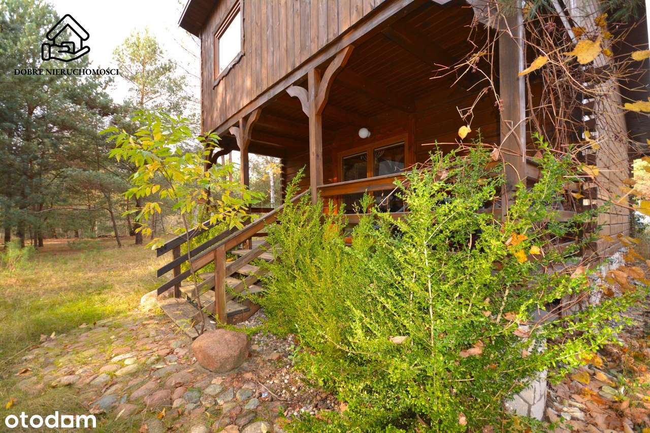 Dom letniskowy nad Jeziorem Zagłębocze - Lejno - Pełny obrazek: 5/20