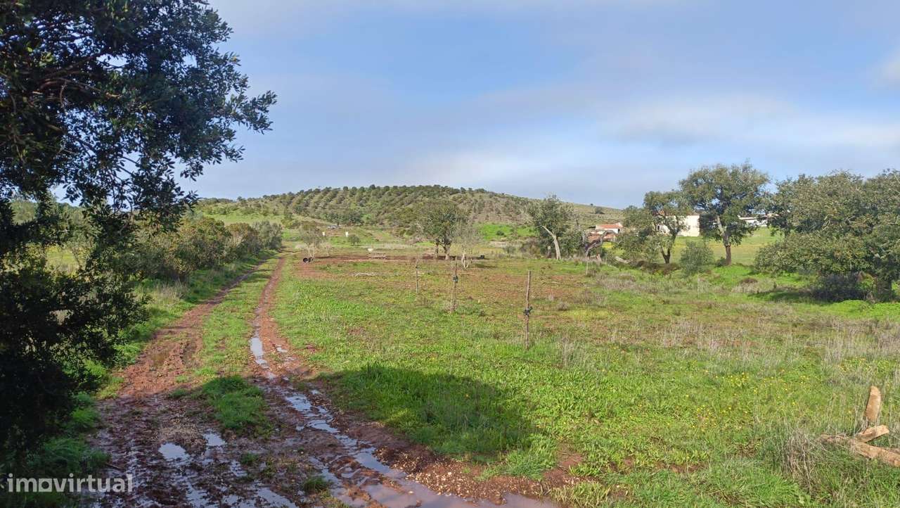 NAO PERCA ESTA GRANDE OPORTUNIDADE! FABULOSO TERRENO DE GRANDES DIMENS - Grande imagem: 5/18