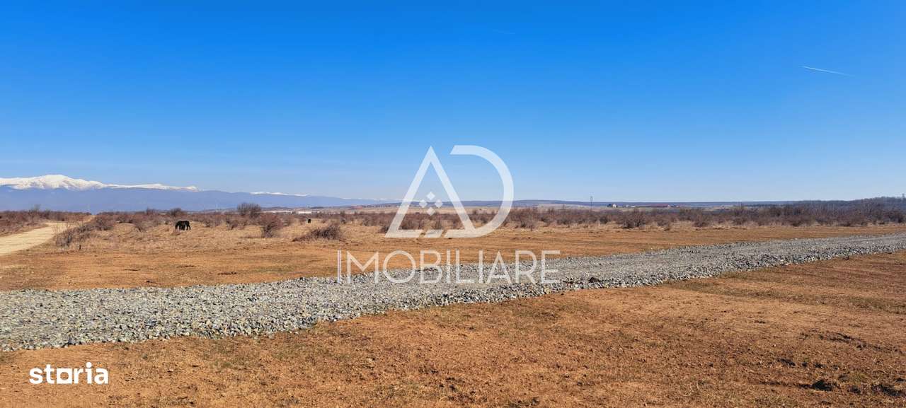 Terenuri extravilane de vanzare Targu Jiu Zona Narciselor Comision 0% - Imagine principală: 3/12