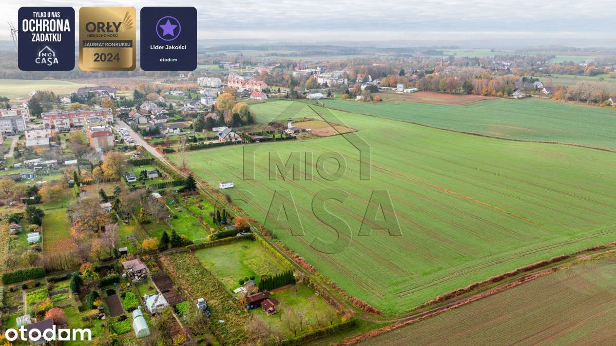 978316 - Pełny obrazek: 4/7