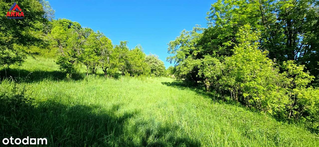 2,62 ha gruntów rolnych | Stróża | tylko 900 zł/ar-3