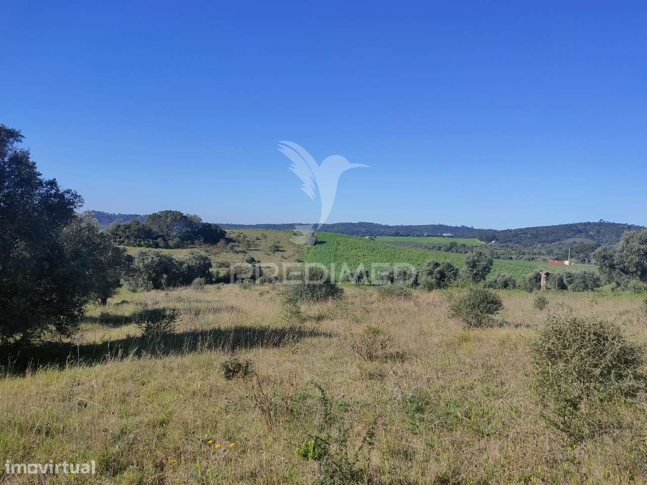 Terreno Rústico - Monsanto, Alcanena - Grande imagem: 4/9