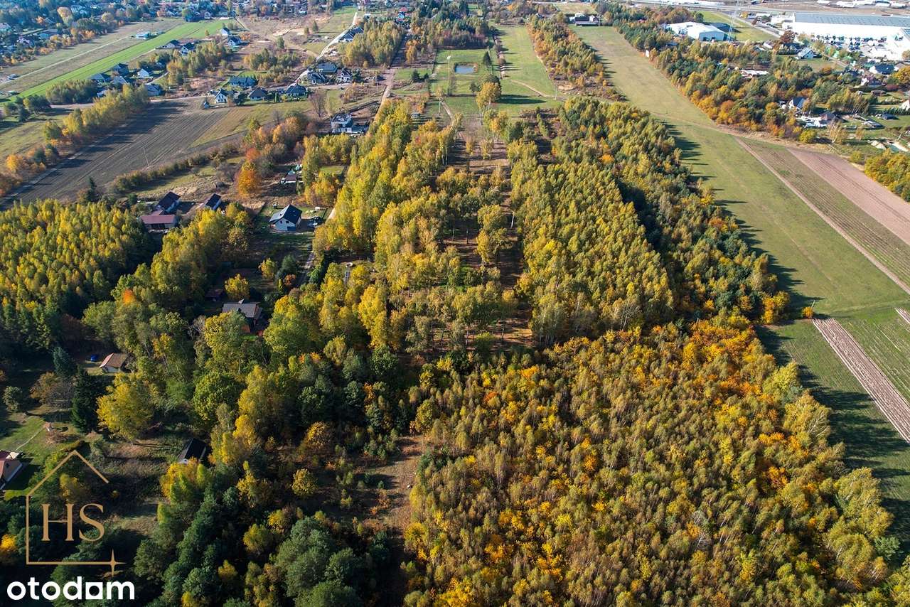 Działka budowlana w otulinie drzew/Żabia Wola/ 35 min do Warszawy-15