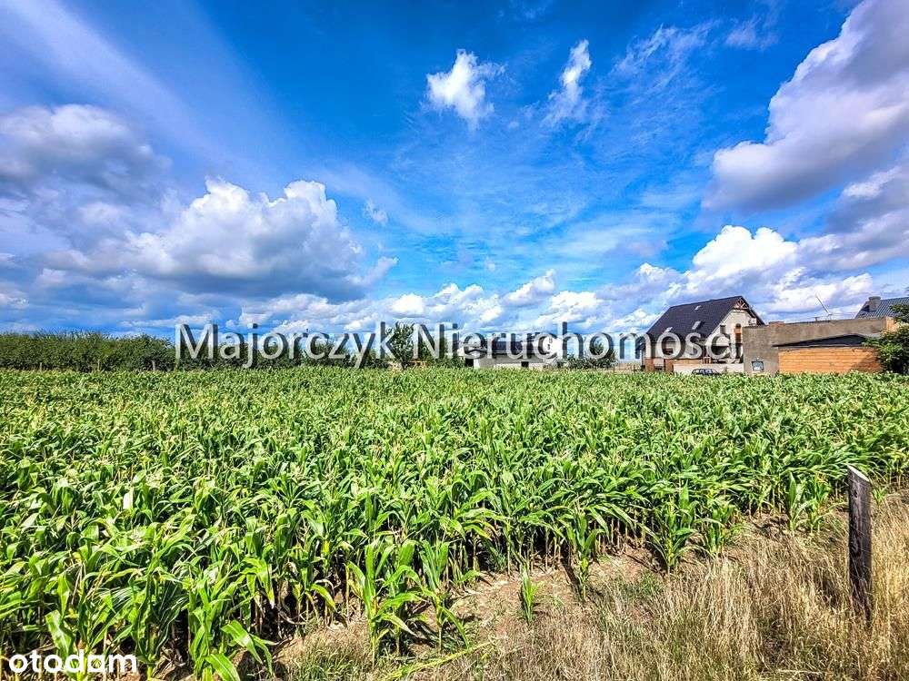 Działki budowlane - Dłużyna, gm. Włoszakowice - Pełny obrazek: 4/20