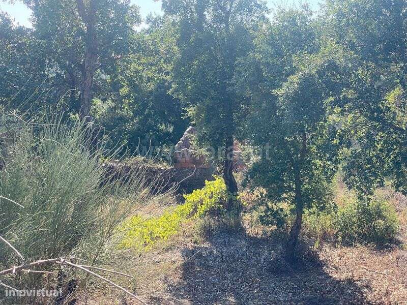 Quinta T1 / Fundão, Vale Prazeres - Grande imagem: 4/9