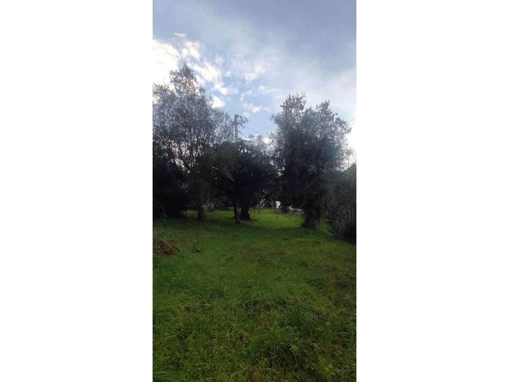 Casa para restauro com 6000m2 de terreno, localização única entre a...-20