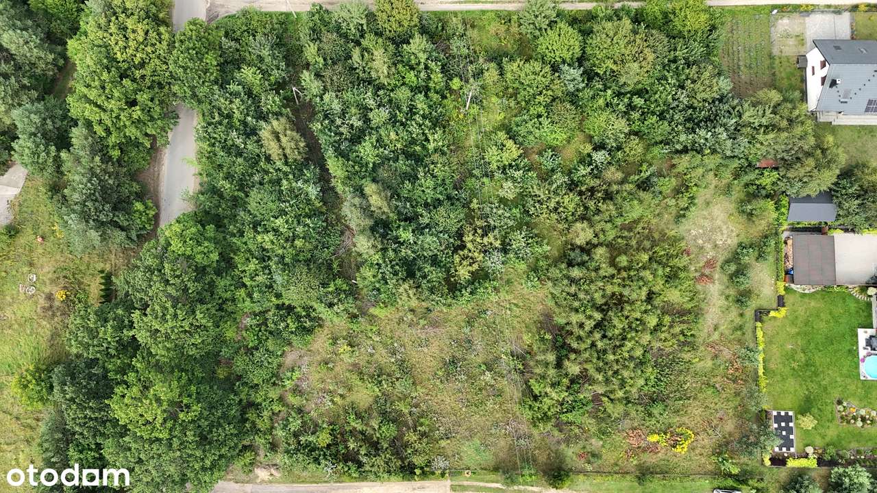 PKM 600 m|Las|Blisko S7 i Obwodnicy |Możliwość zakupu 3 działek-8