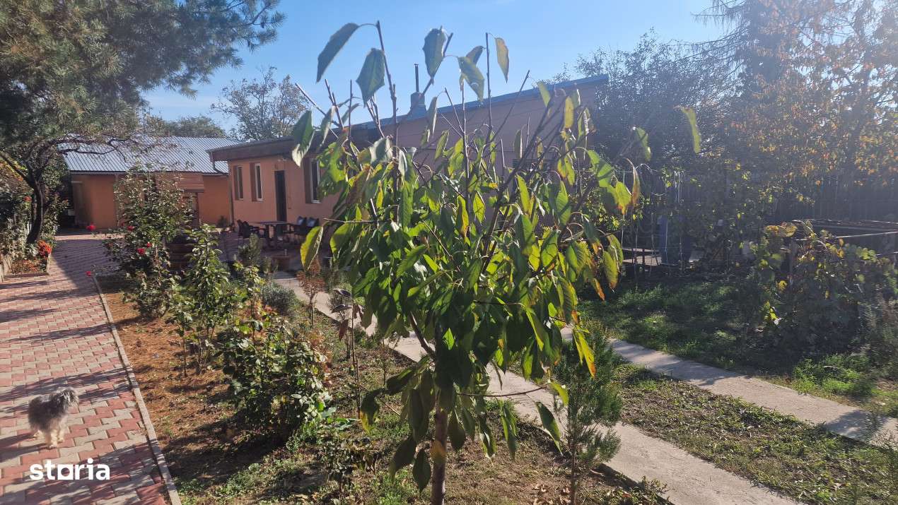 Casa de Vanzare in orasul Chitila - Imagine principală: 2/10