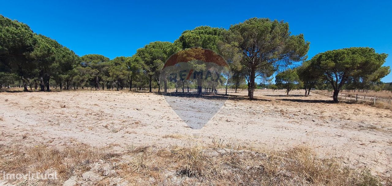 Terreno  para venda