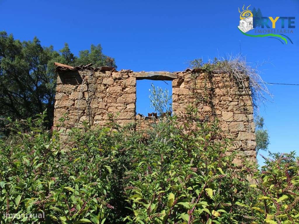 Quintinha rural com casa de habitação a 5 minutos da Sertã - Grande imagem: 4/22