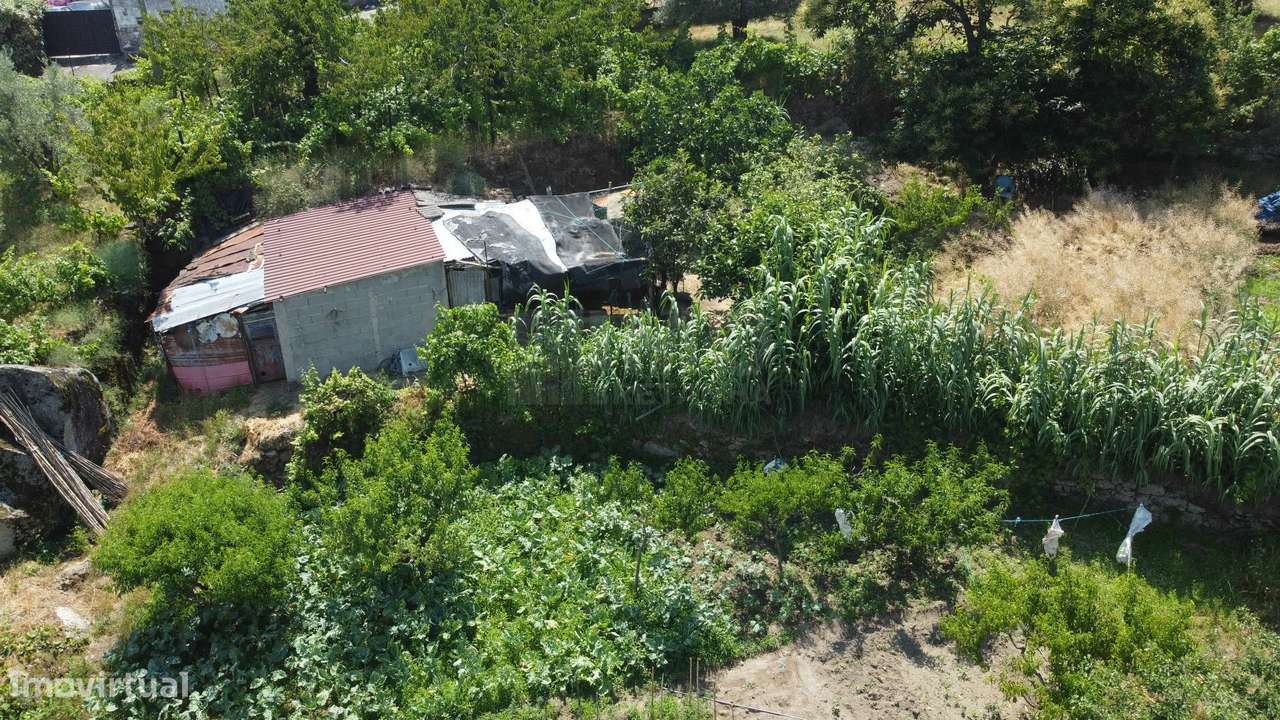 Terreno com 4.522 m² e Viabilidade de Construção - Vila do Carvalho-12