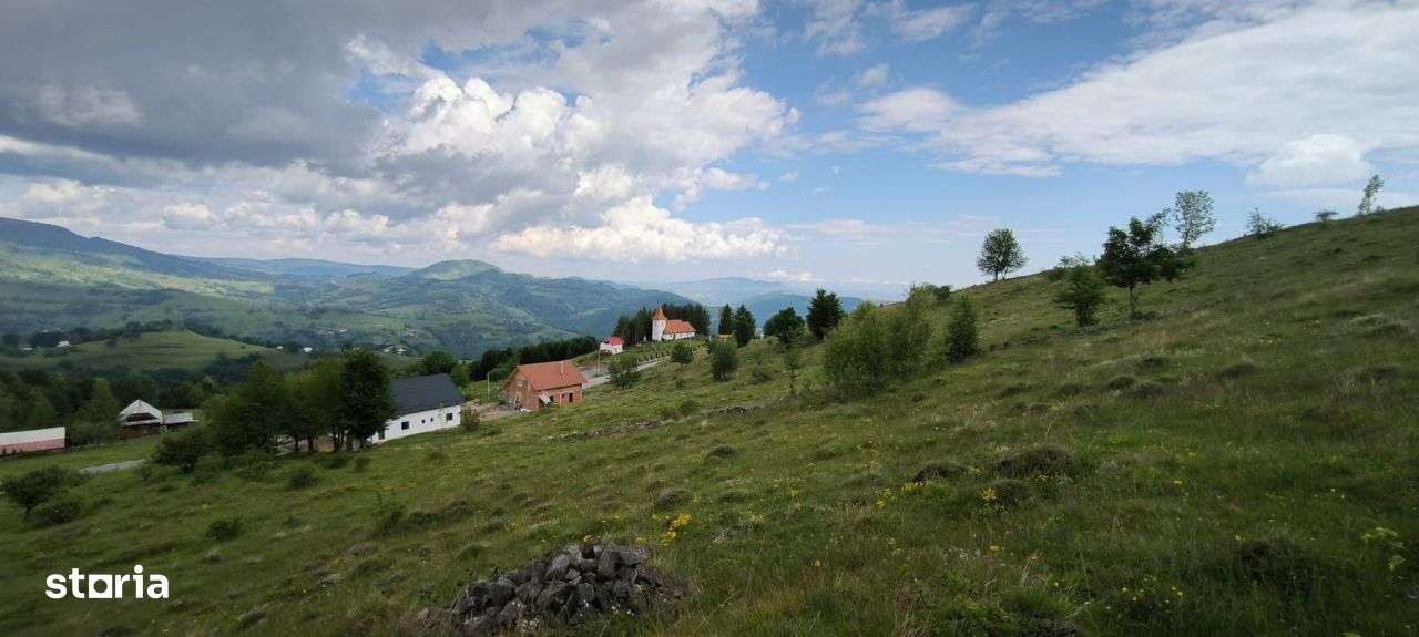 Teren Rogojel 15.000MP 8 EURO/MP - Imagine principală: 2/3