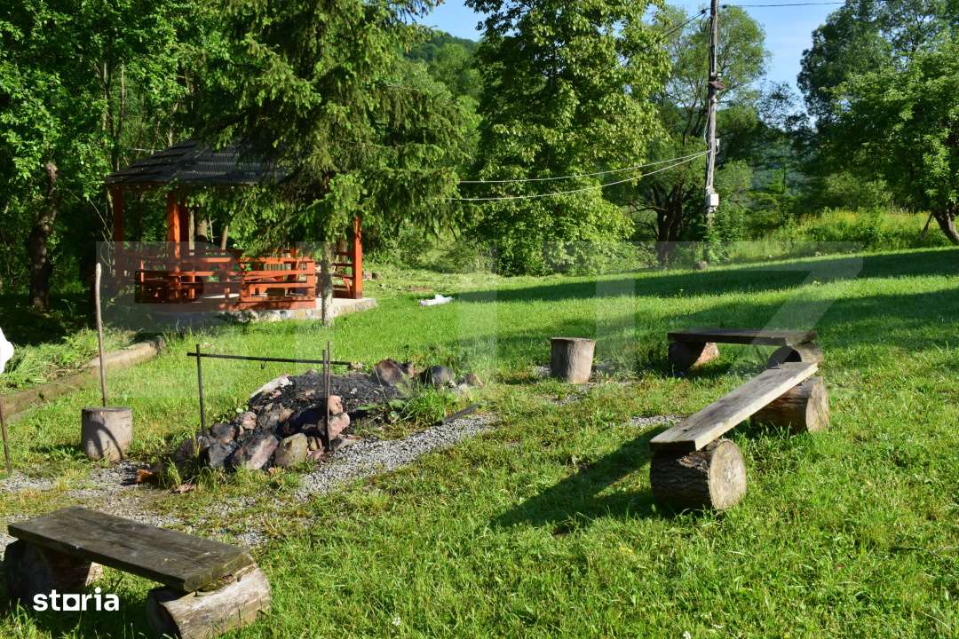 Casa de vacanta cu 4 camere,3300 mp teren,Valisoara - Imagine principală: 2/19