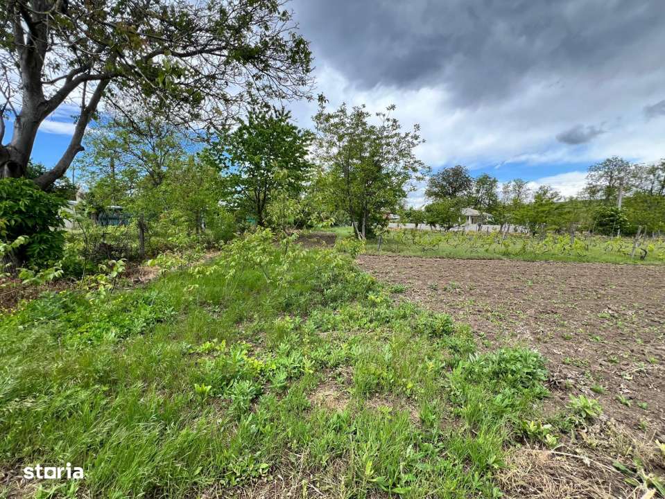 Casa + teren 4430 mp, vie si pomi fructiferi, 22 km de Tecuci-14