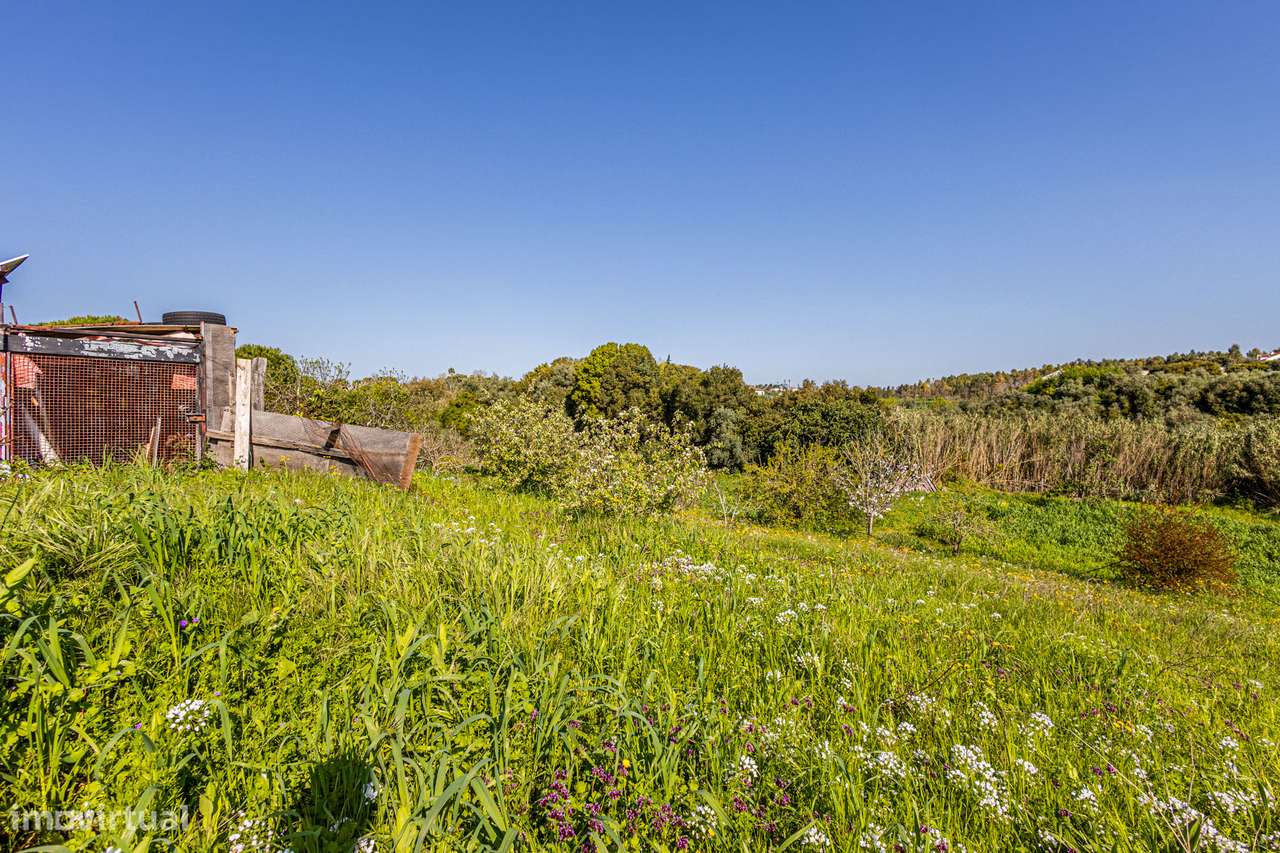 Apresento terreno agrícola com apoio habitacional T2 no Cartaxo-23