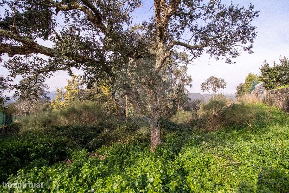 Terreno  para venda - Grande imagem: 4/10