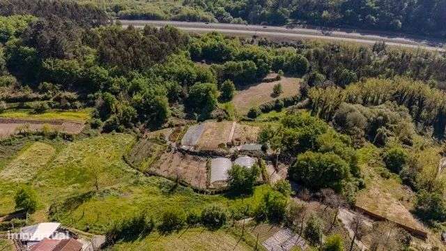 Quinta Exclusiva em Abação – Refúgio com 14.000 m²-29