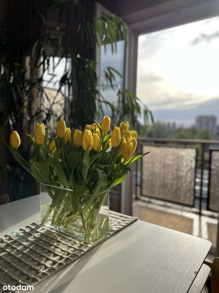 4-pokojowe mieszkanie na Bartodziejach - Pełny obrazek: 4/17