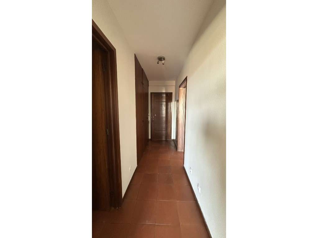 T1 Combatentes - Grande imagem: 2/12