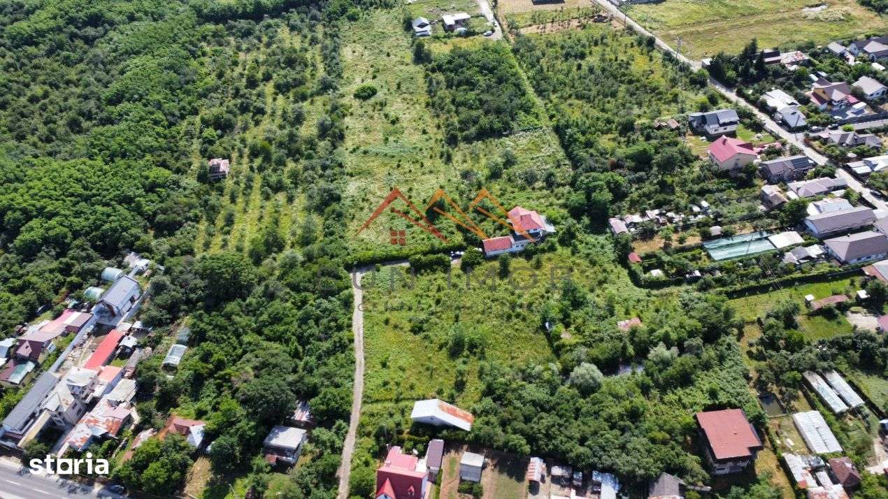 Teren intravilan 20280 mp, oportunitate investitie, Gageni, Prahova - Imagine principală: 1/19