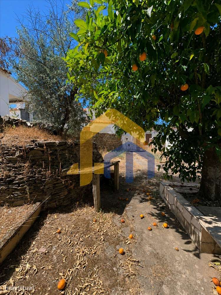 Quintinha para Recuperação Total em Glória – Estremoz-26