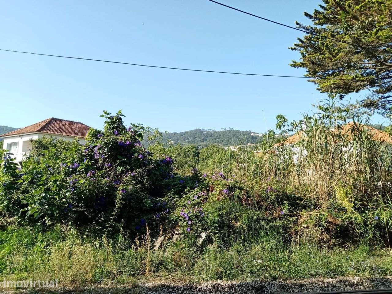 Terreno urbano em Colares-8