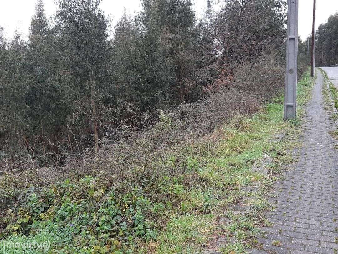 Terreno em Rio de Moinhos Penafiel - Grande imagem: 5/6