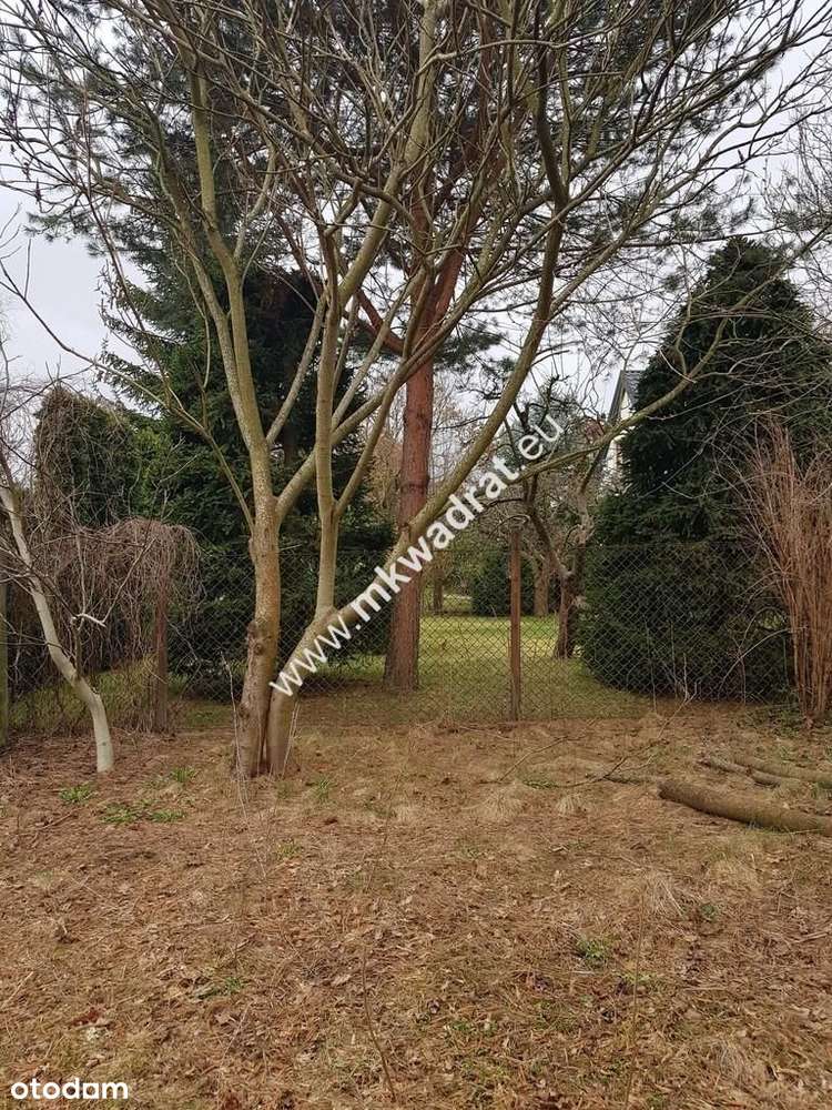 ⭐⭐⭐⭐ Blisko Wkd na dom 2 lokal Media 1600m2 ⭐⭐⭐⭐ - Pełny obrazek: 4/6