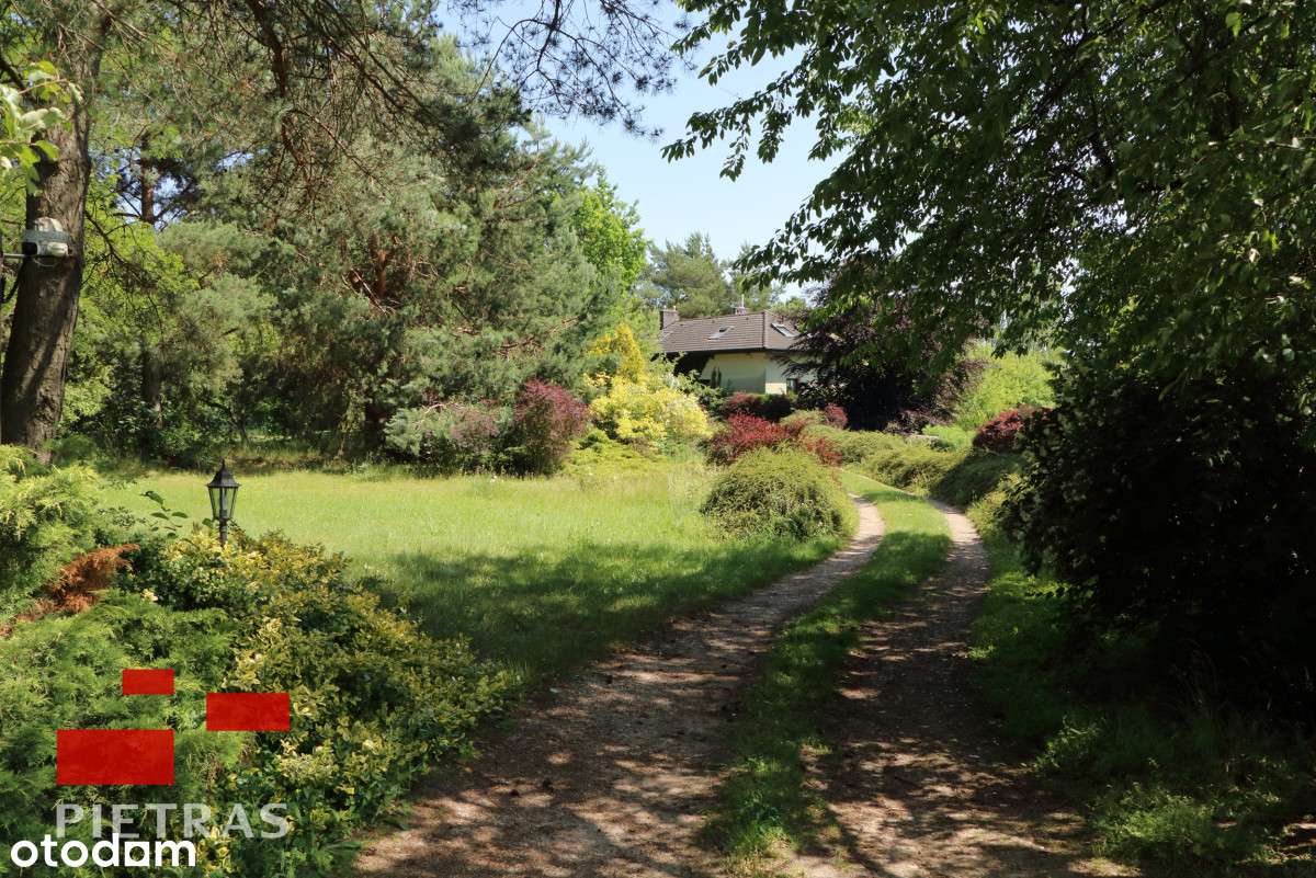 Wyjątkowe Puszcza Zielonka 3 działki z WZ - Pełny obrazek: 5/20