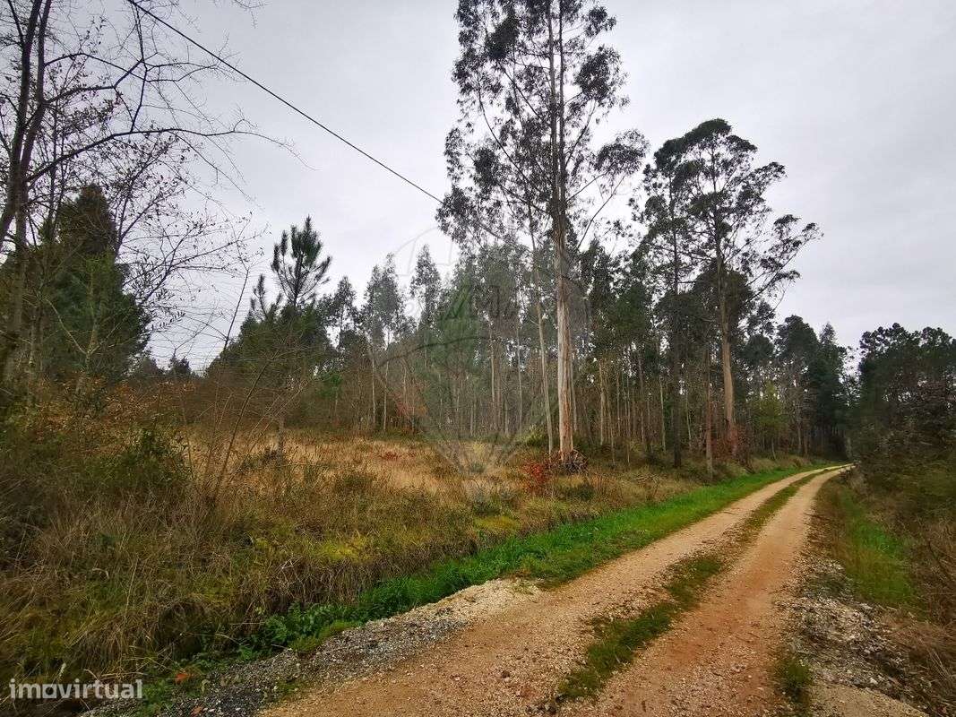 Terreno  para venda - Grande imagem: 3/6