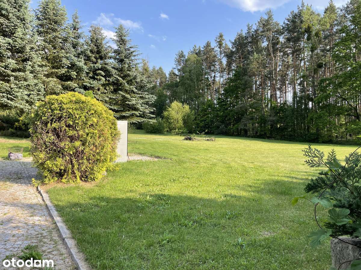 Atrakcyjna posiadłość Doliny Baryczy - Pełny obrazek: 4/11