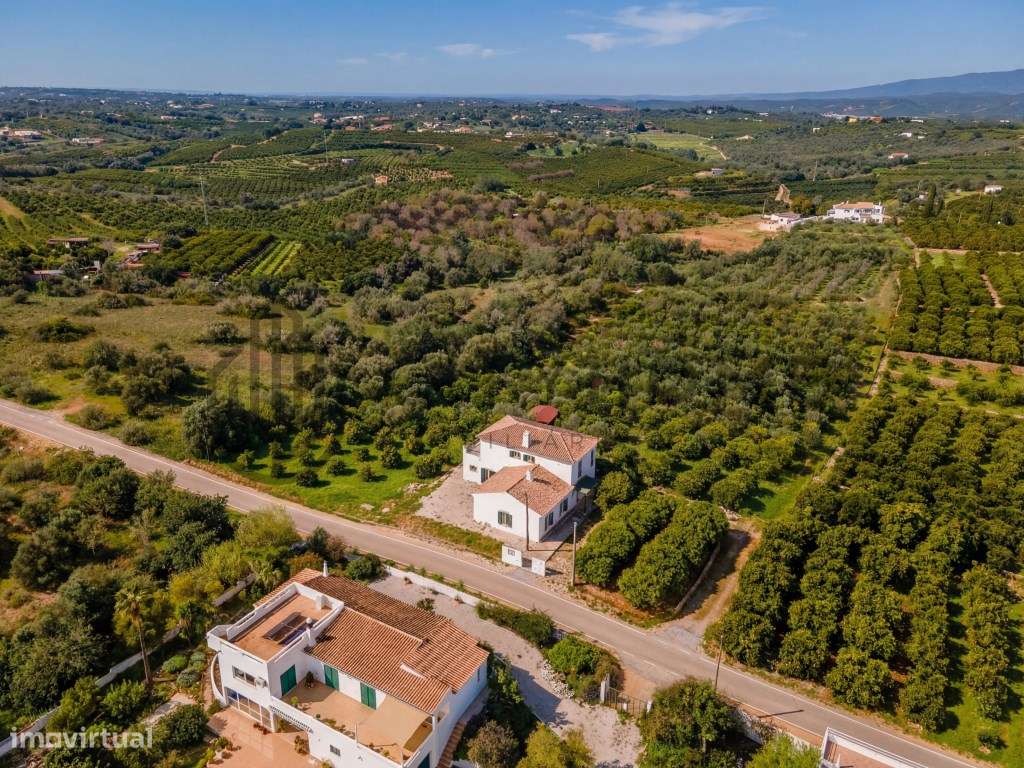Moradia T3 com Pomar de citrinos no concelho de Silves - Grande imagem: 5/36
