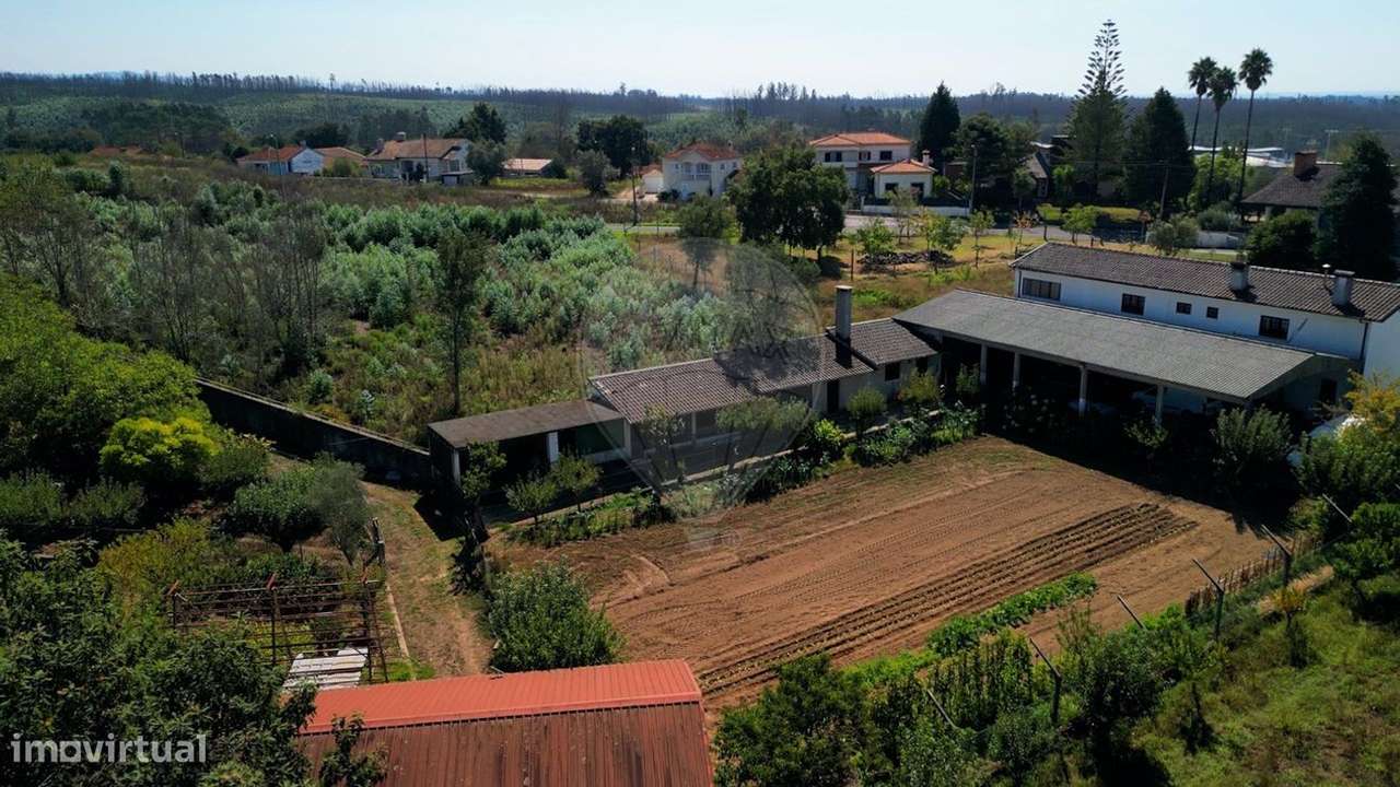 Moradia T3 | Anexo T1 | 628m2 | Lote 2140m2 | 10 min Centro Águeda-45