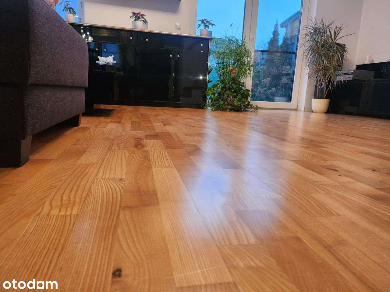 Apartamenty Chopina do wejścia - Pełny obrazek: 4/19