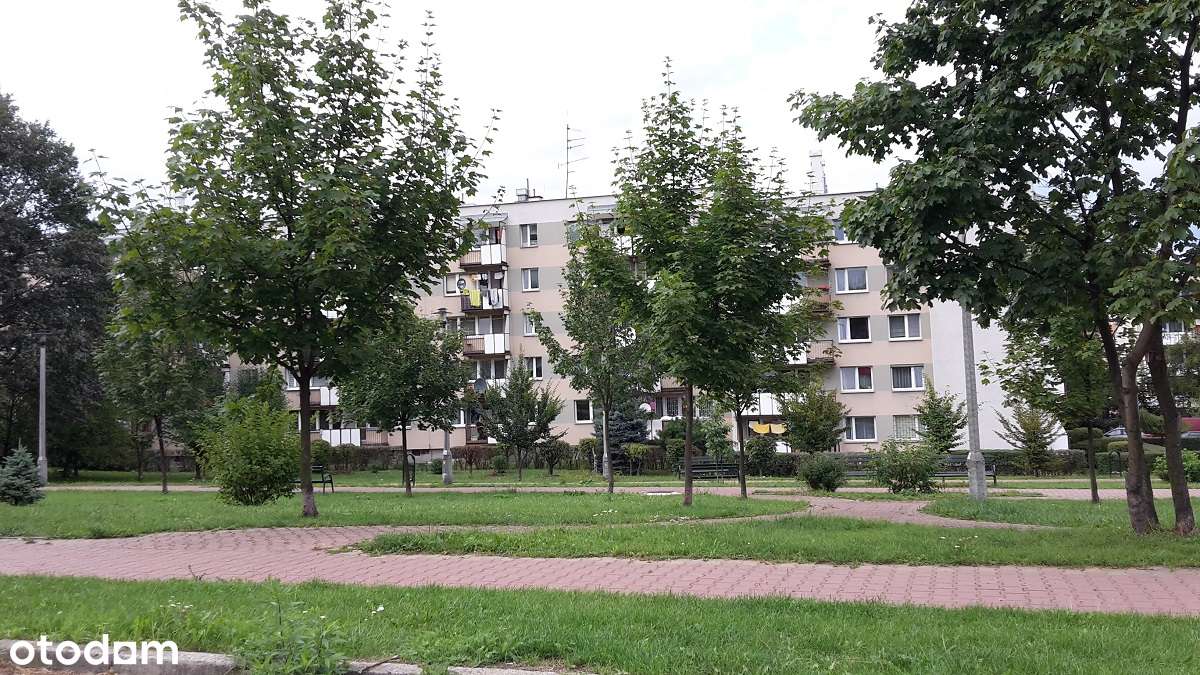 Trzypokojowe mieszkanie przy ul. E. Heila-16