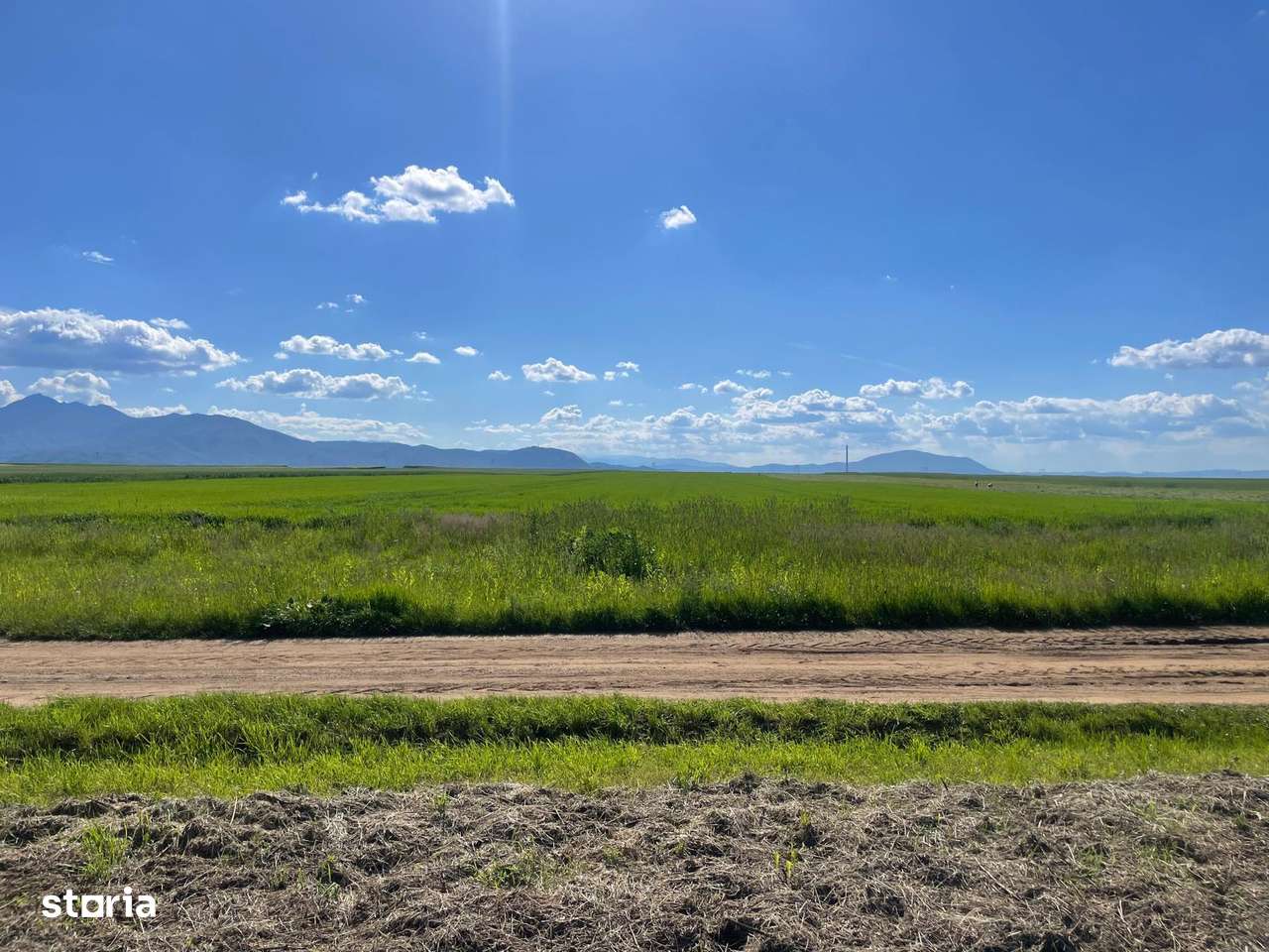 Exclusivitate! Vindem casa Tarlungeni - Imagine principală: 2/10