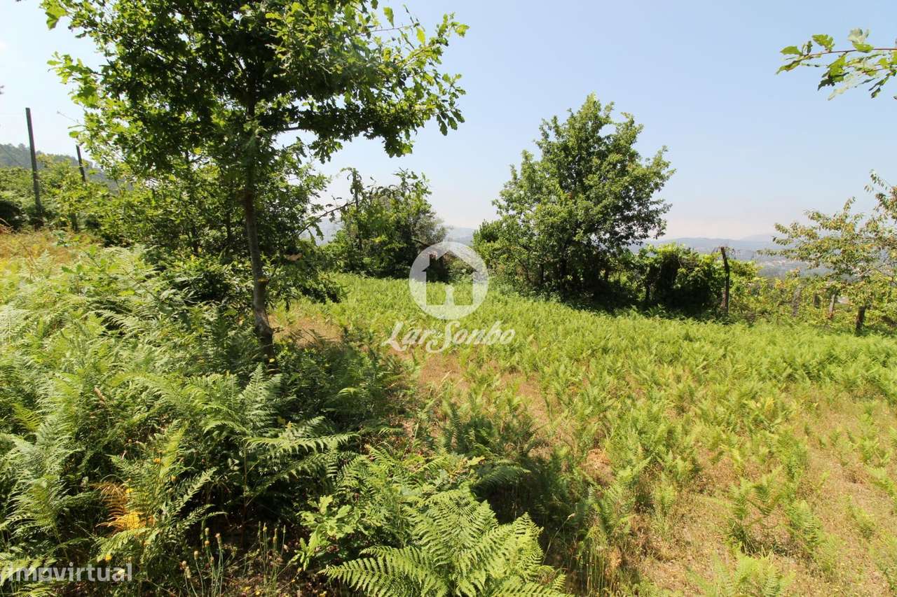 Terreno de construção com 1.815m2 em Serafão, Fafe-6