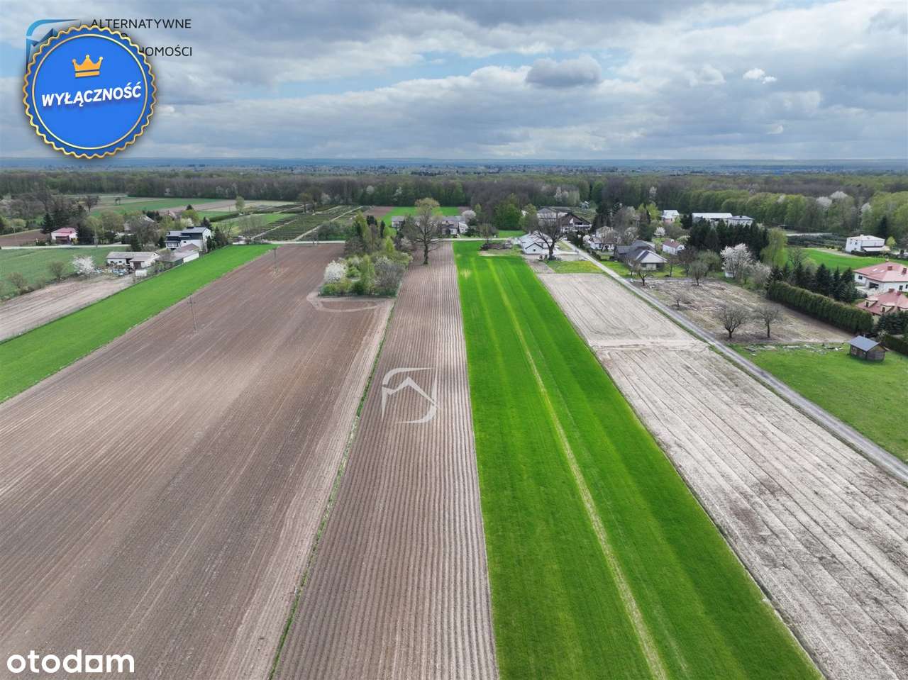 Atrakcyjna działka 3001m2, Tereszyn obok Lublina - Pełny obrazek: 5/11