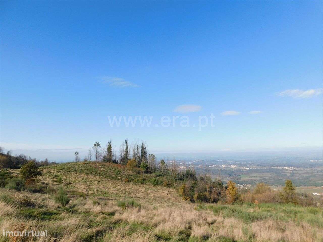 Terreno / Seia, Seia - Grande imagem: 5/6