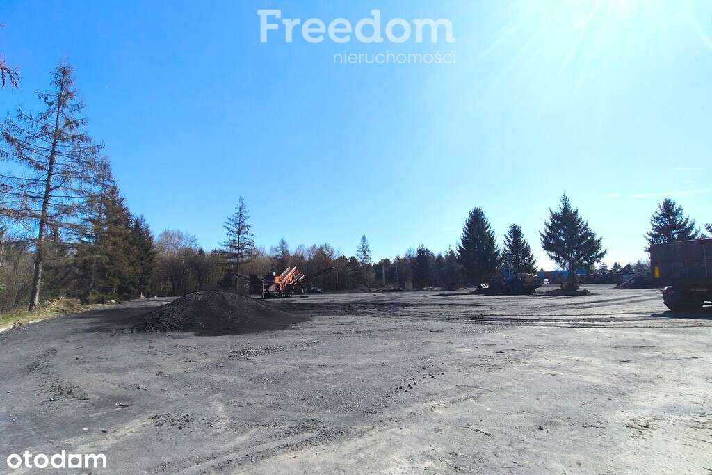 Kompleks działek z potencjałem–Horbów-Kolonia - Pełny obrazek: 4/8