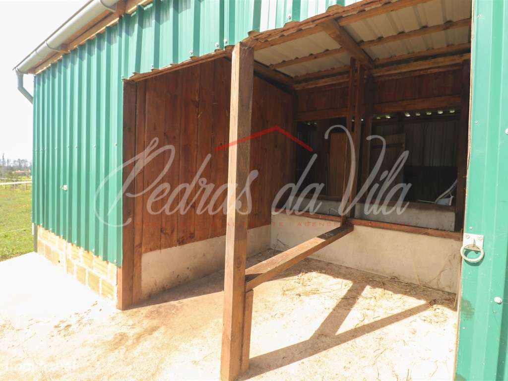 Quinta com 6,5ha em Vale Juncal - São Teotónio-56